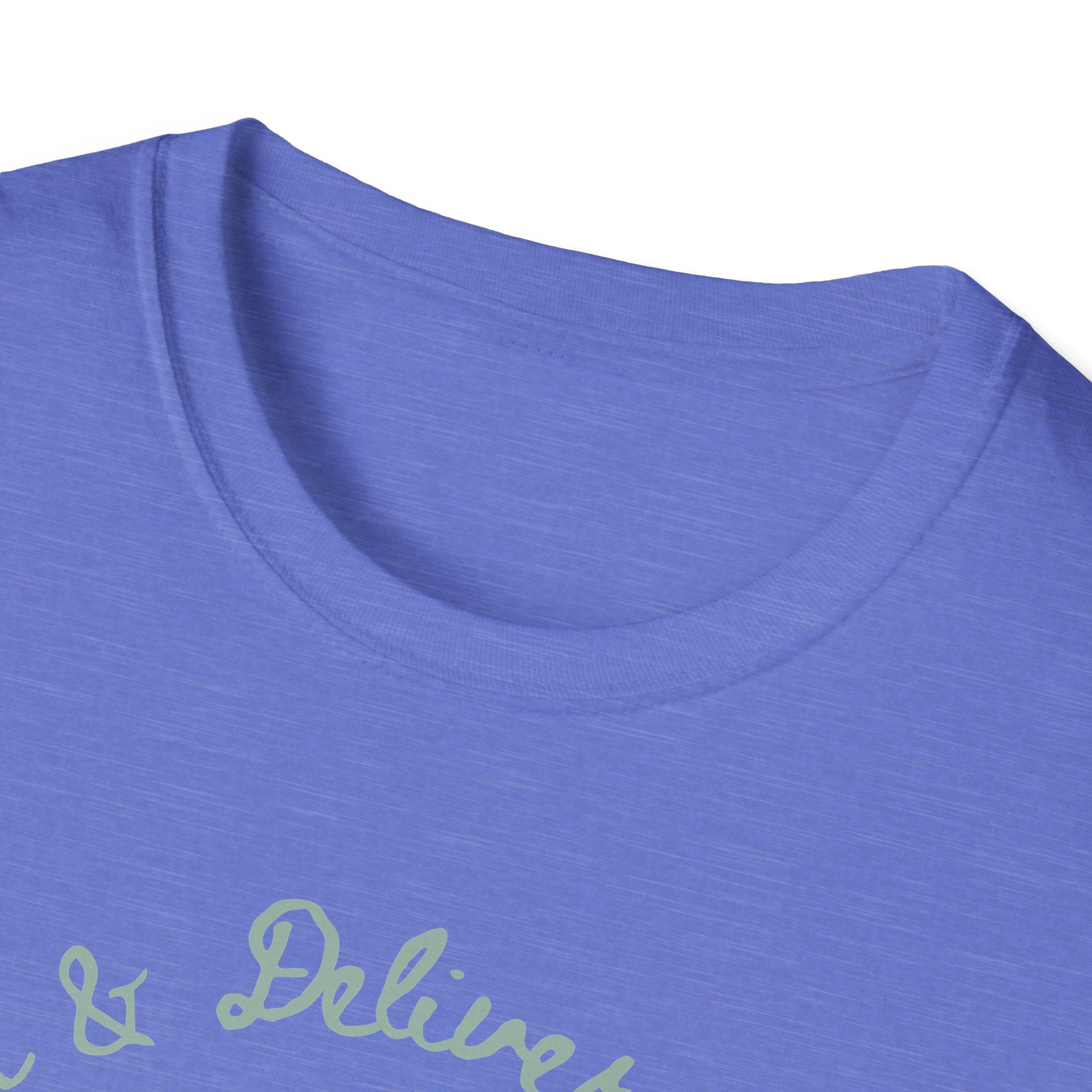L&D Nurse Anatomy T-Shirt