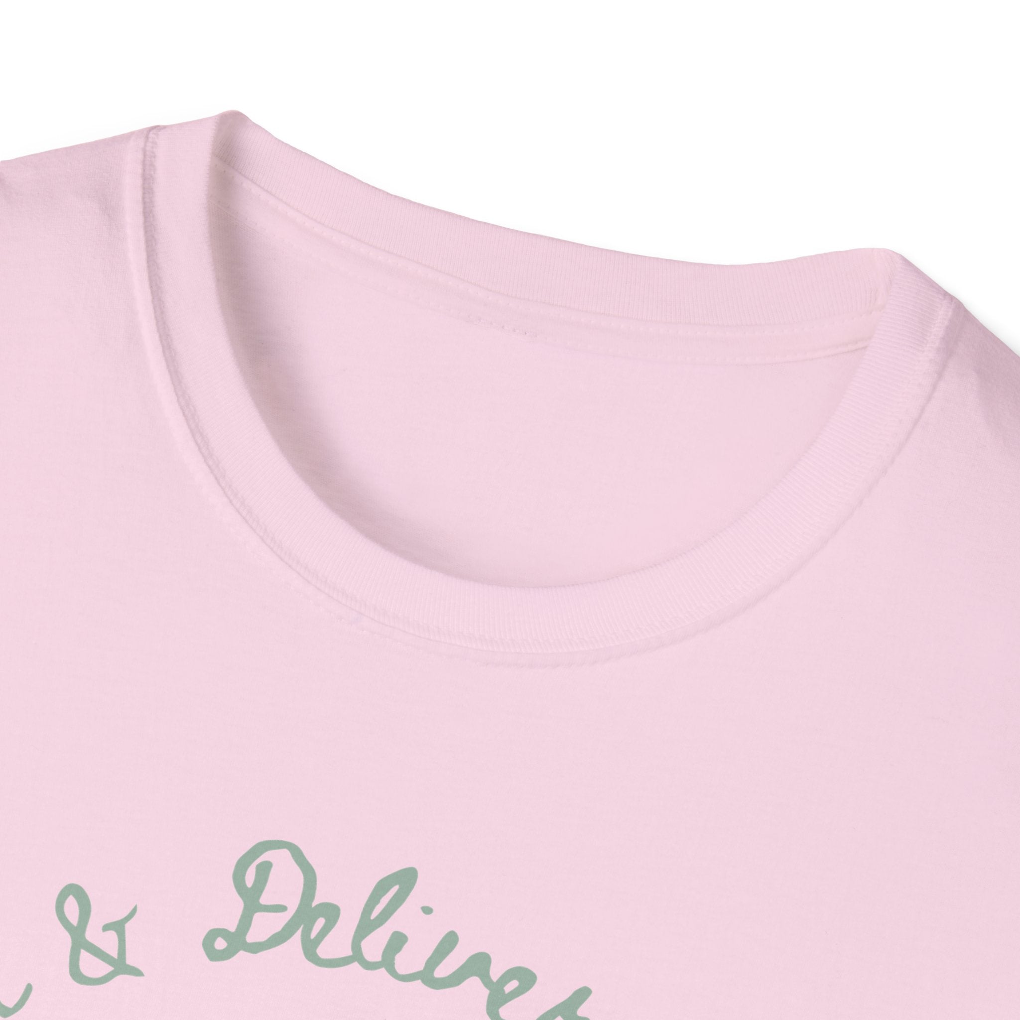 L&D Nurse Anatomy T-Shirt